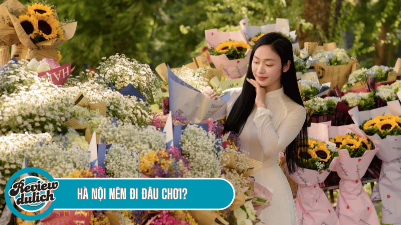 Hà nội nên đi đâu chơi? reviewdulich.info