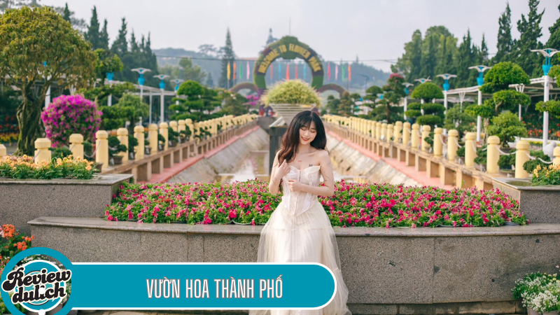 nên đi đâu chơi