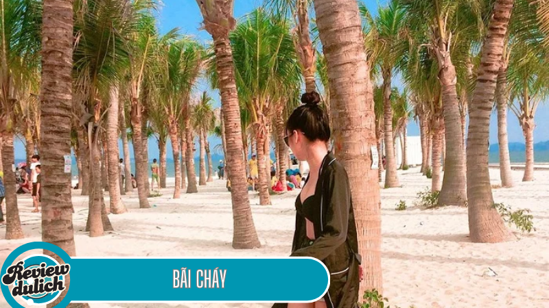 hạ long nên đi chơi ở đâu