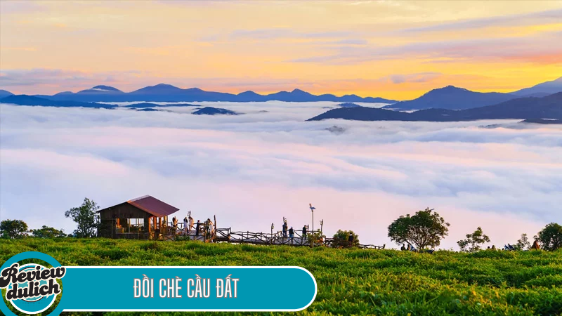 nên đi đâu chơi