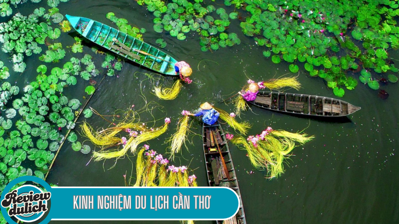 cần thơ nên đi đâu chơi