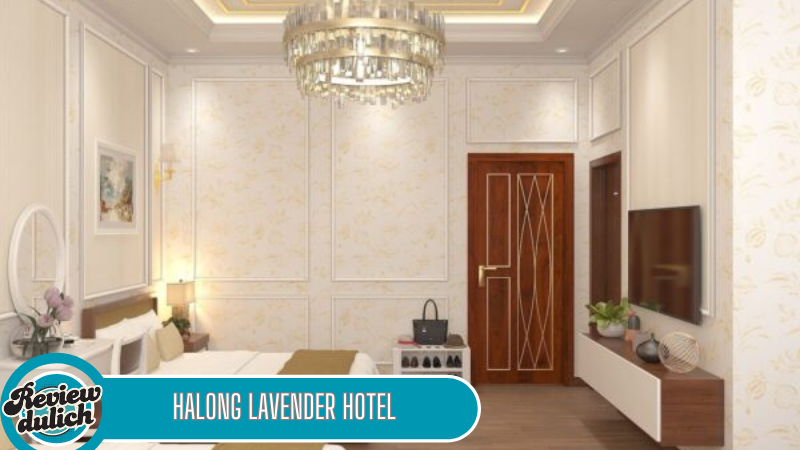 khách sạn giá tốt Hạ Long