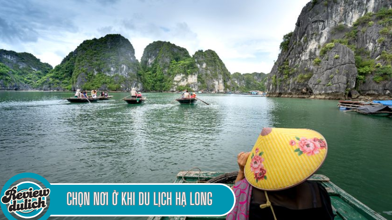 du lịch Hạ Long