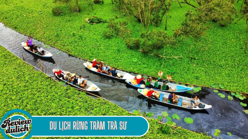 Rừng Tràm Trà Sư