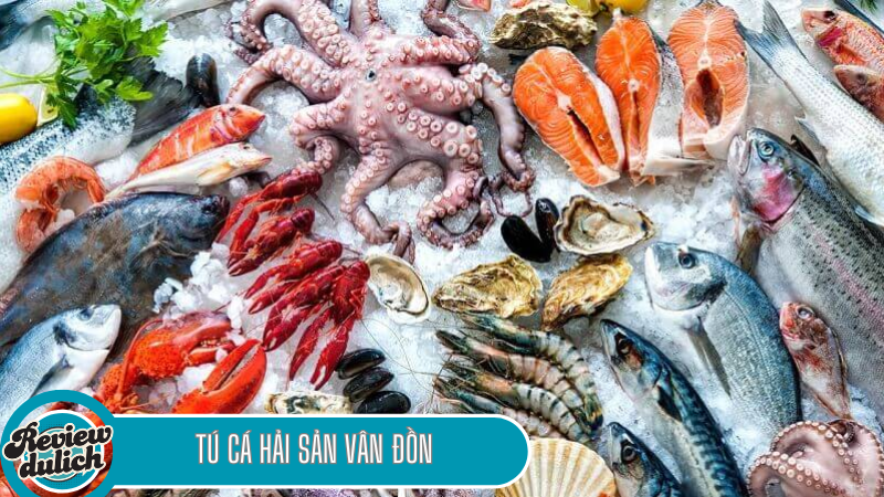 quán ăn ngon Nam Định